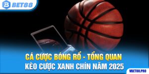 Cá Cược Bóng Rổ - Tổng Quan Kèo Cược Xanh Chín Năm 2025