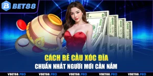 Cách Bẻ Cầu Xóc Đĩa Chuẩn Nhất Người Mới Cần Nắm