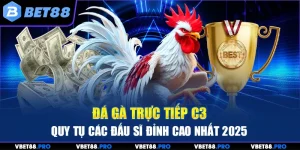 Đá Gà Trực Tiếp C3 - Quy Tụ Các Đấu Sĩ Đỉnh Cao Nhất 2025