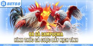 Đá Gà Campuchia - Hình Thức Cá Cược Đầy Kịch Tính