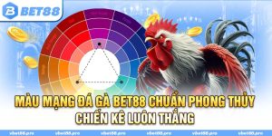 Màu Mạng Gà Đá BET88 Chuẩn Phong Thủy Chiến Kê Luôn Thắng