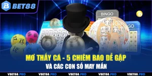 Mơ Thấy Cá - 5 Trường Hợp Phổ Biến Cùng Các Con Số May Mắn