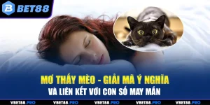 Mơ Thấy Mèo - Giải Mã Ý Nghĩa Và Liên Kết Với Con Số May Mắn
